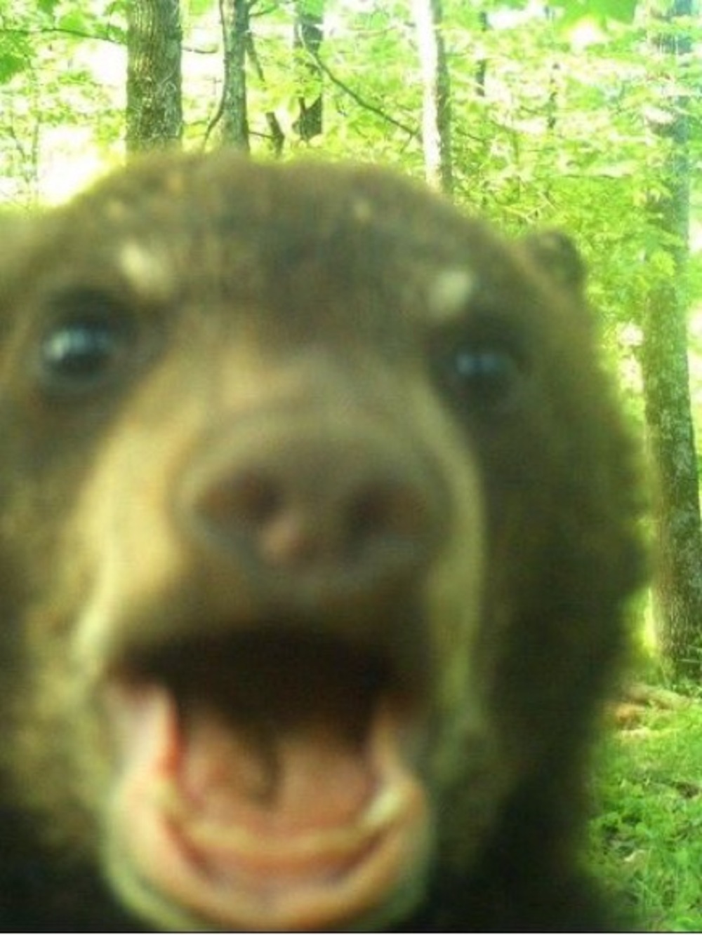 Meet your Posher, Adriana